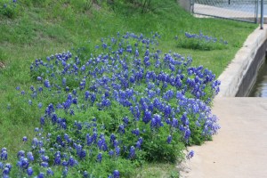 2012 01 07 Cannon 018