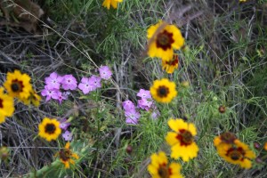 2012 01 07 Cannon 142