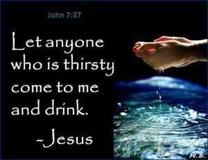 19c3e757a8534ff8d127240ec568f020