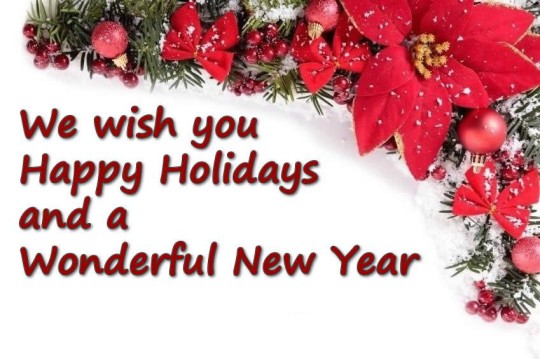 we-wish-you-happys-holiday-and-a-wonderful-new-year-540x359