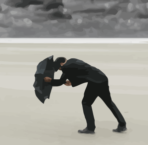 frank_20131231_4_vectorized